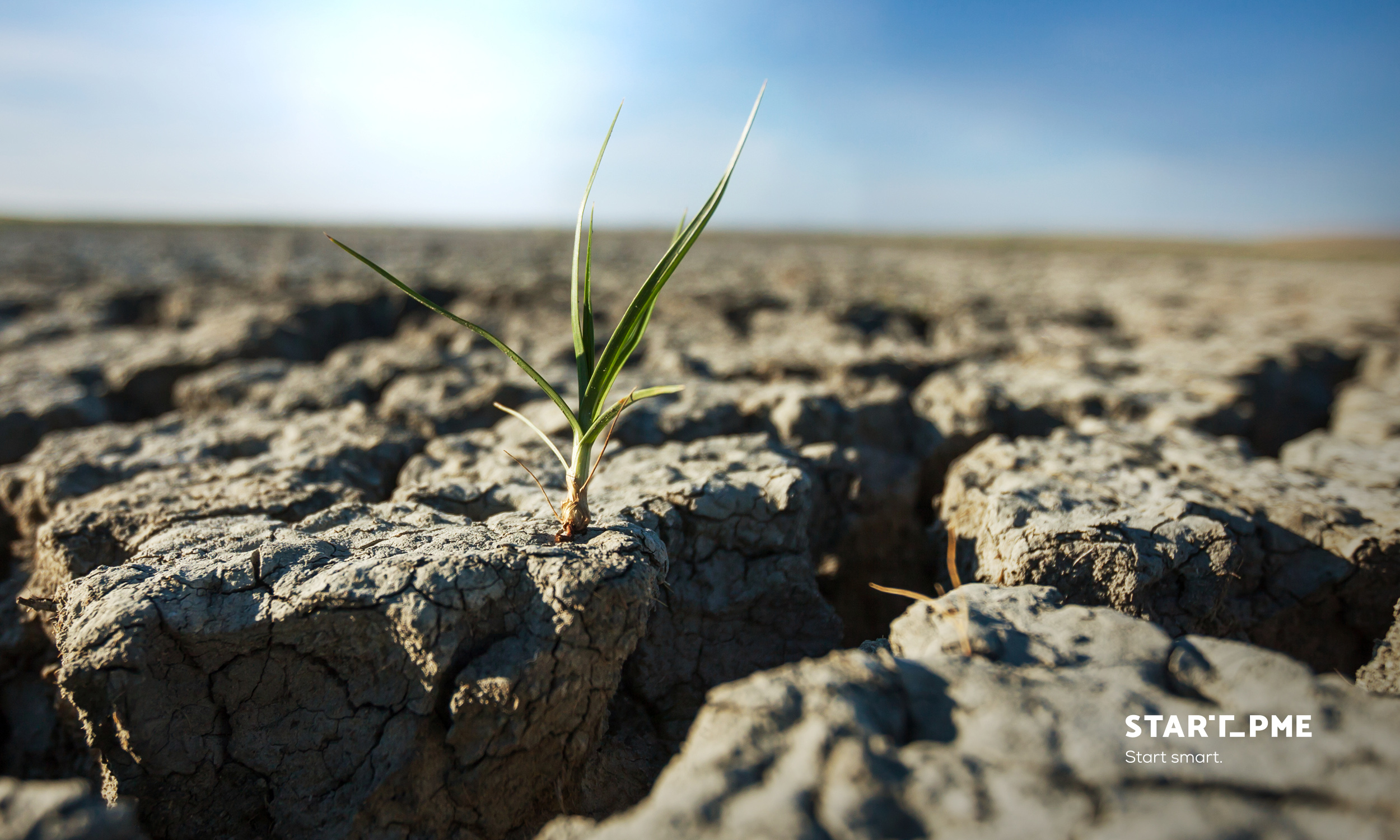 Programa Copernicus da União Europeia disponibiliza informação para adaptação da agricultura às alterações climáticas