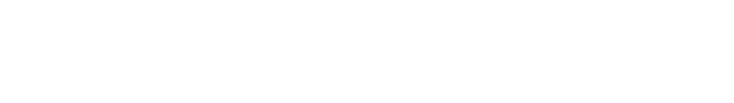 logo_BPF_versao_horizontal_Branco