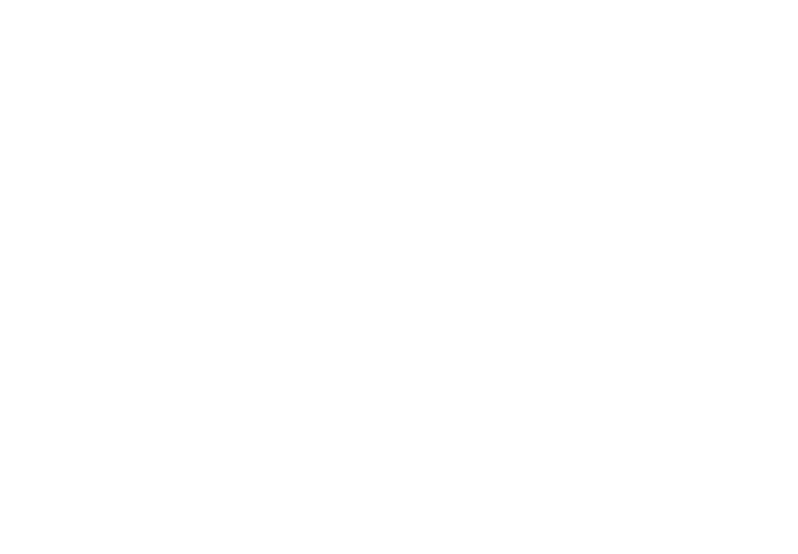 Fundo Rainha D. Leonor_branco